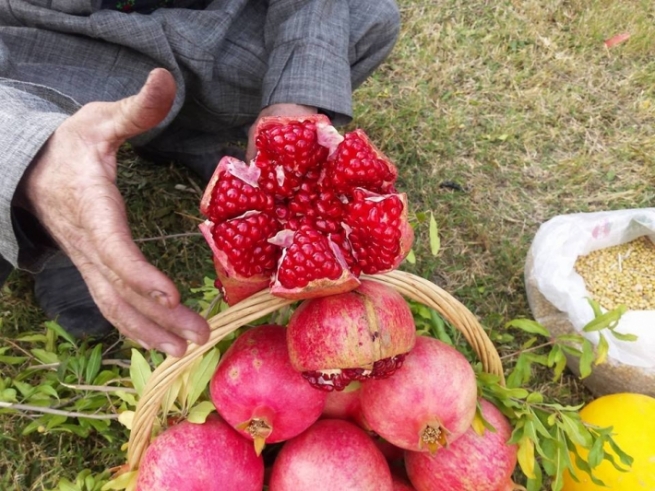 ھەفتەی داھاتوو ھاوردەکردنی ھەنار قەدەغە دەکرێت